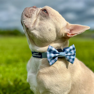 Disney© Bow Tie - Bambi + Friends Blue Gingham