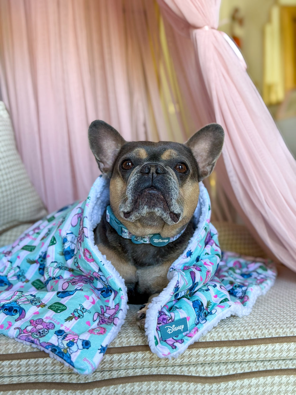 Disney© Dog Blanket - Stitch's Slumber Party