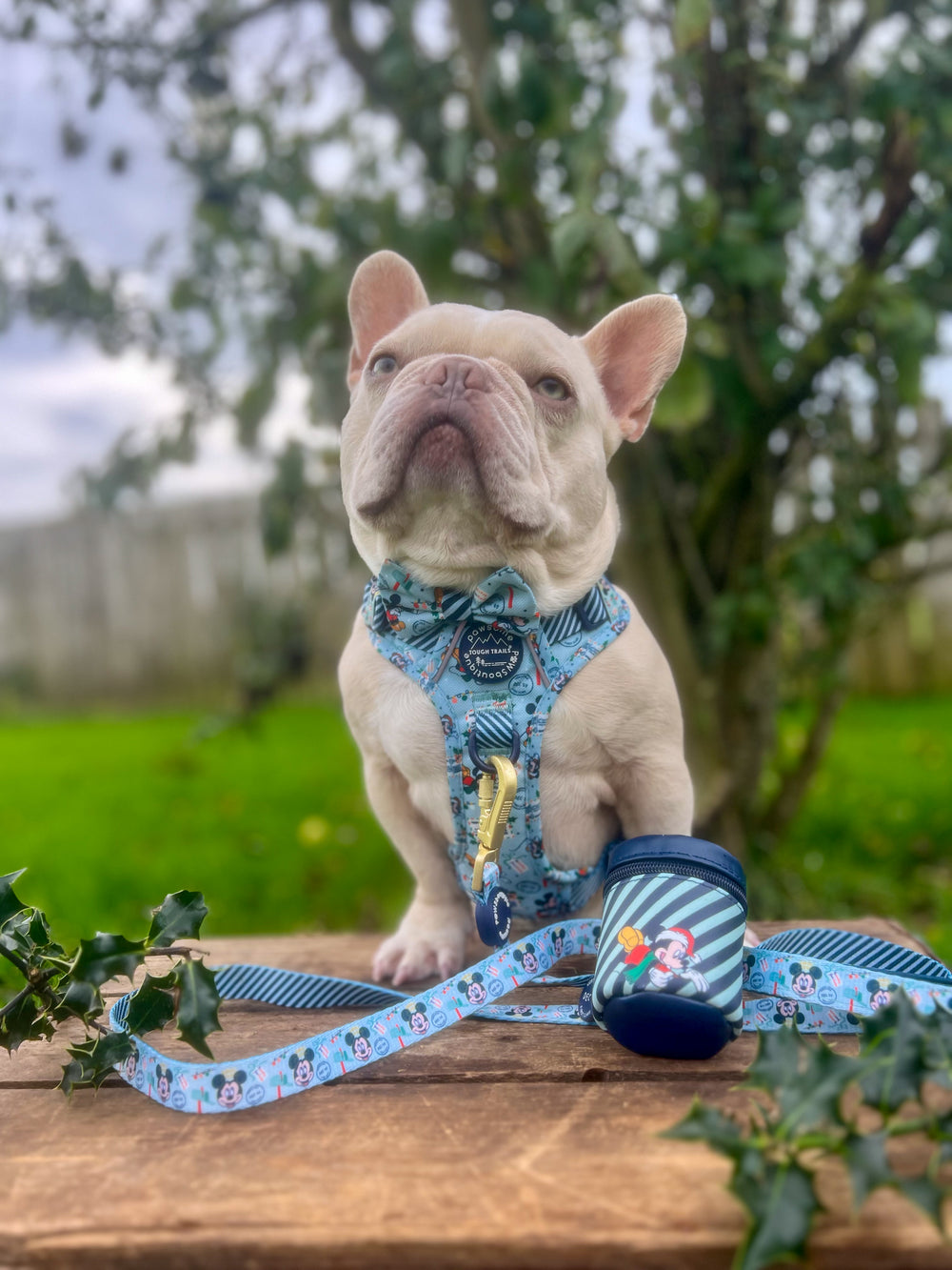 Disney© Treat Pouch - Santas Mickey Mail