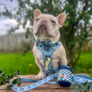 Disney© Treat Pouch - Santas Mickey Mail