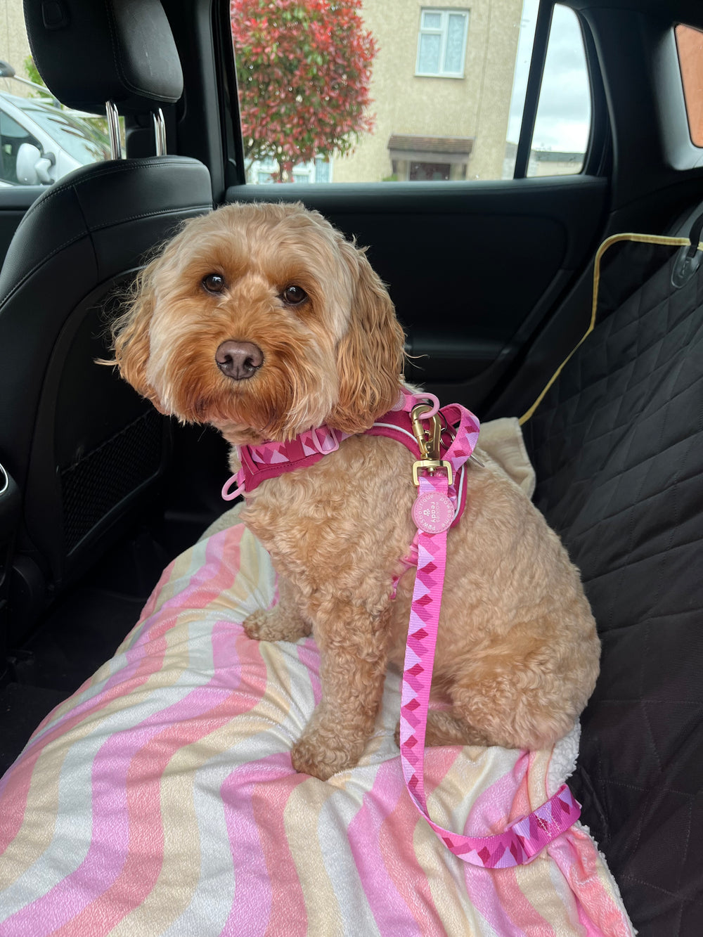 Walkies Ready® Seat Belt Restraint - Raspberry Pink