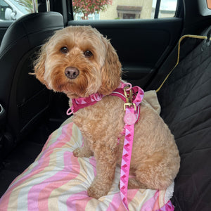 Walkies Ready® Seat Belt Restraint - Raspberry Pink