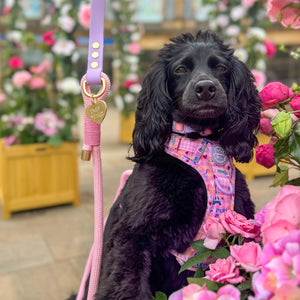 4ft Rope Lead - Emily In Paris