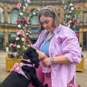 Treat + Go Bag - Emily In Paris