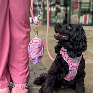 Treat + Go Bag - Emily In Paris