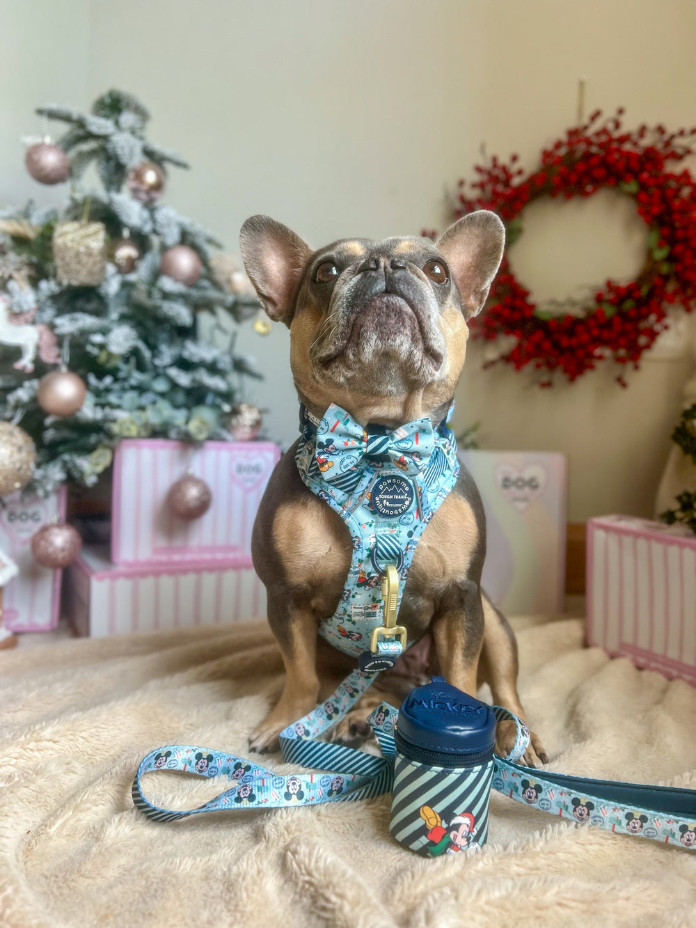 Disney© Treat Pouch - Santas Mickey Mail