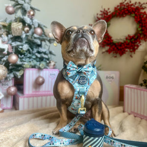 Disney© Treat Pouch - Santas Mickey Mail