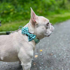 Waterproof Collar - Green