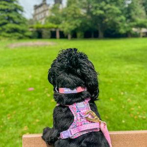 Waterproof Collar - Emily In Paris