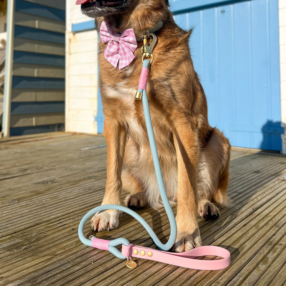 Disney© 4ft Rope Lead - Mad Hatters Tea Party