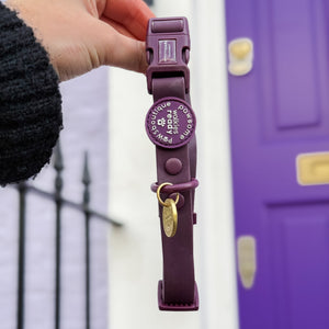 Waterproof Collar - Walkies Ready® Plum