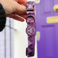 Collar – Walkies Ready® Plum