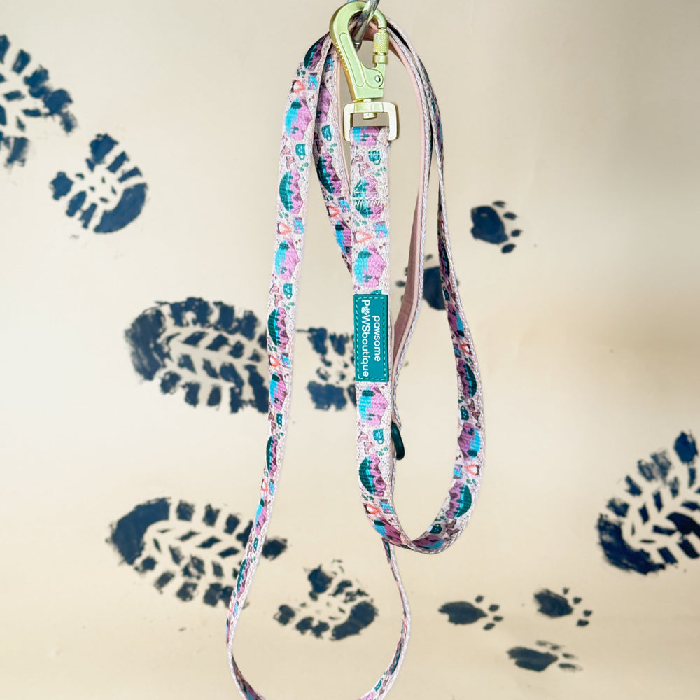 Lead - Adventure Awaits