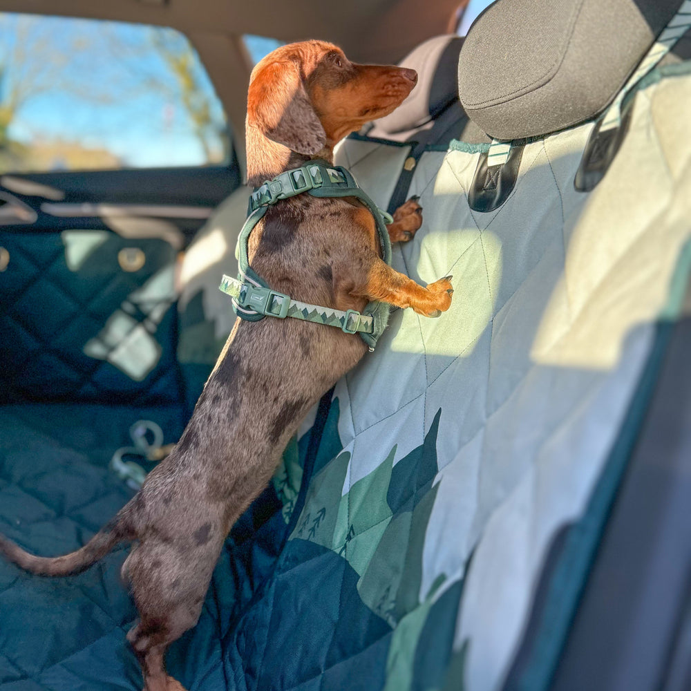 Car Seat Cover - Walkies Ready® Forest Green