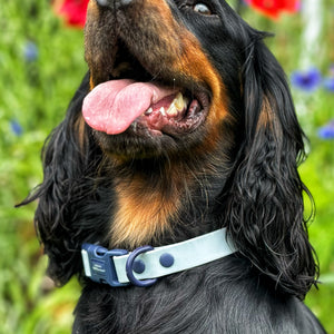 Waterproof Collar - Dusky Blue + Navy