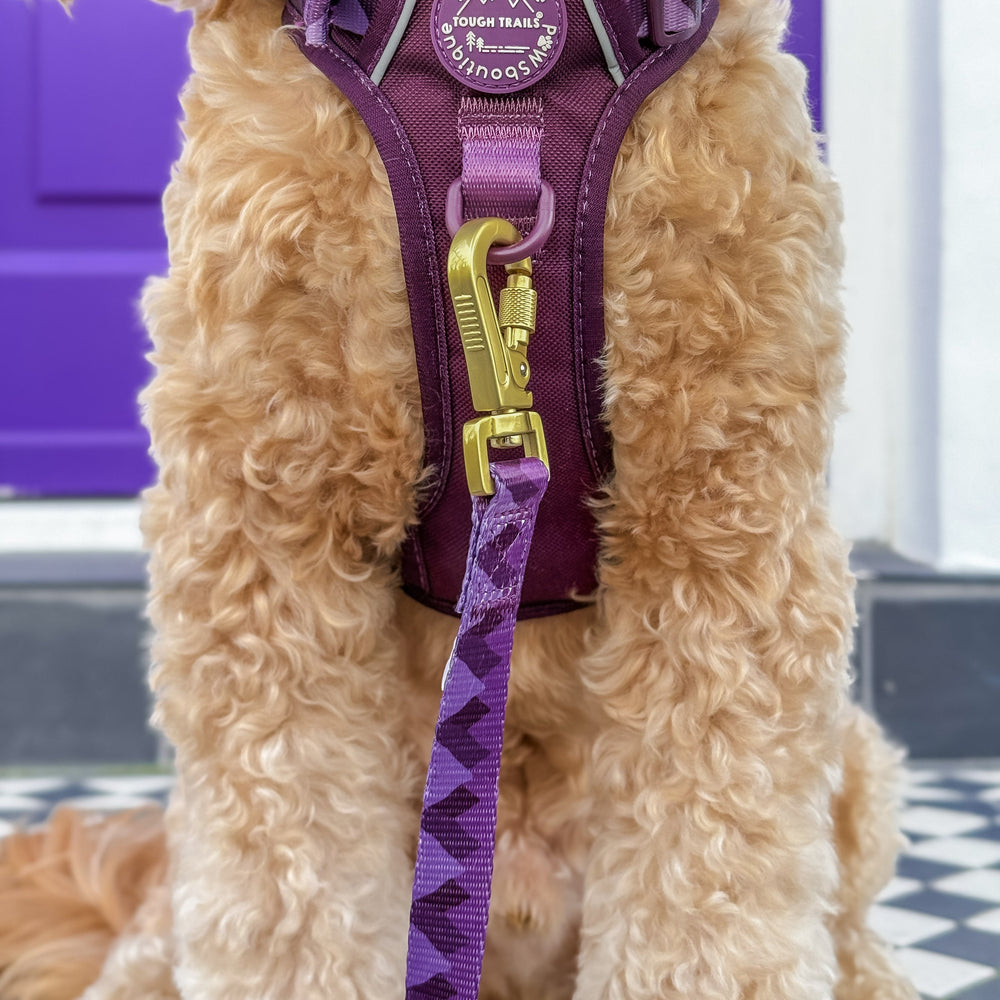 Lead - Walkies Ready® Plum