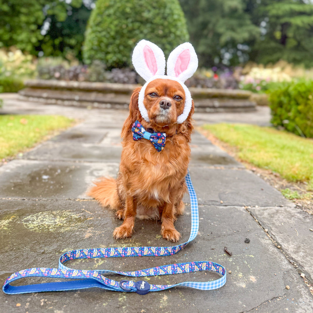 Disney© Lead - Alice In Wonderland