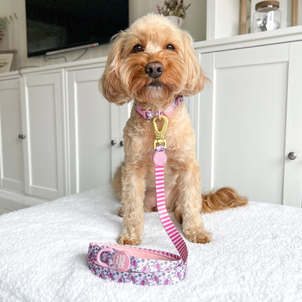 Disney© Lead - Piglet