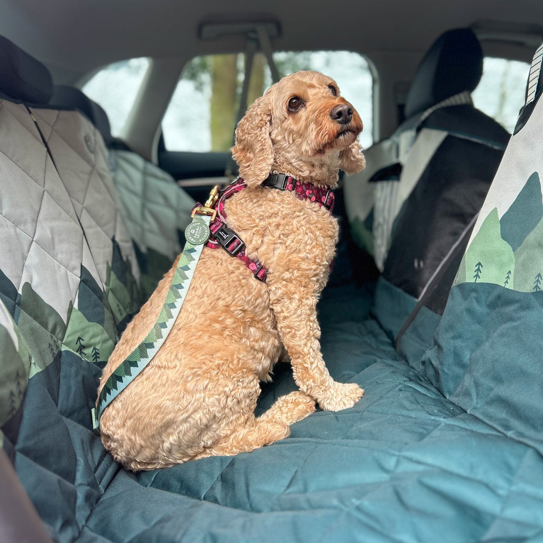 Car Seat Cover - Walkies Ready® Forest Green