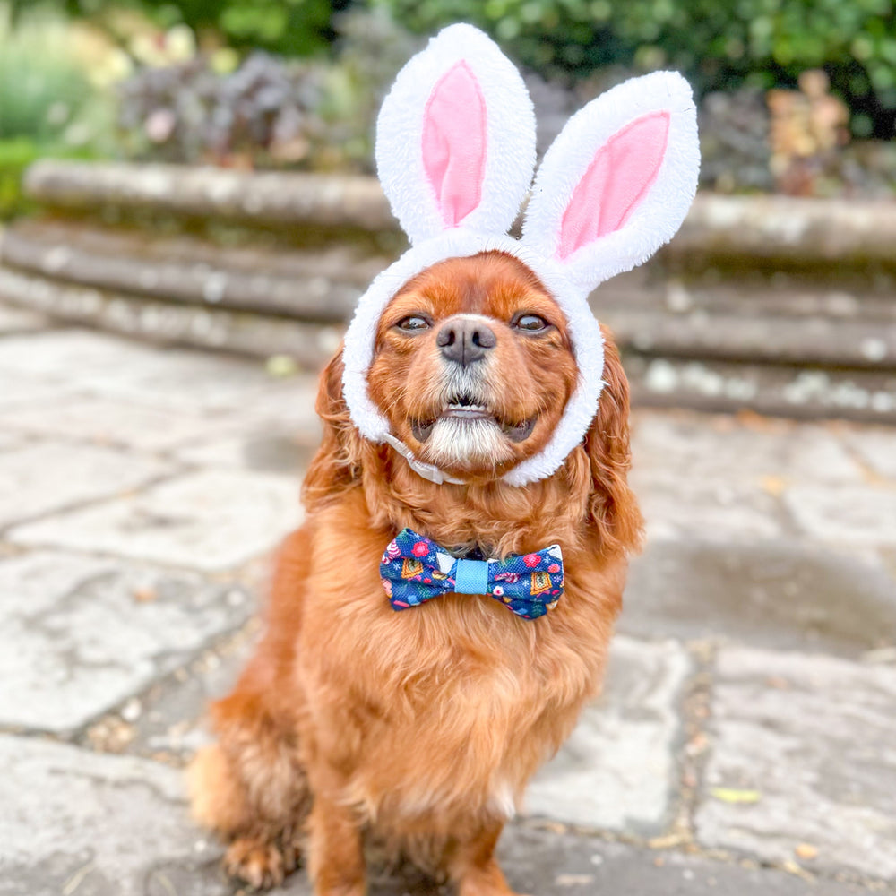 Disney© Bow Tie - Alice In Wonderland