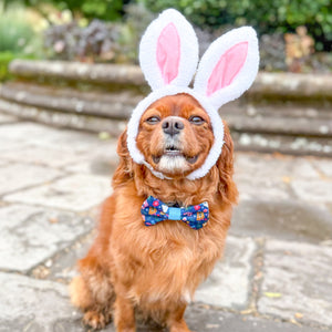 Disney© Bow Tie - Alice In Wonderland