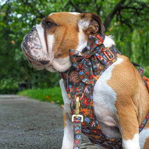 Sailor Bow - Rust & Bloom