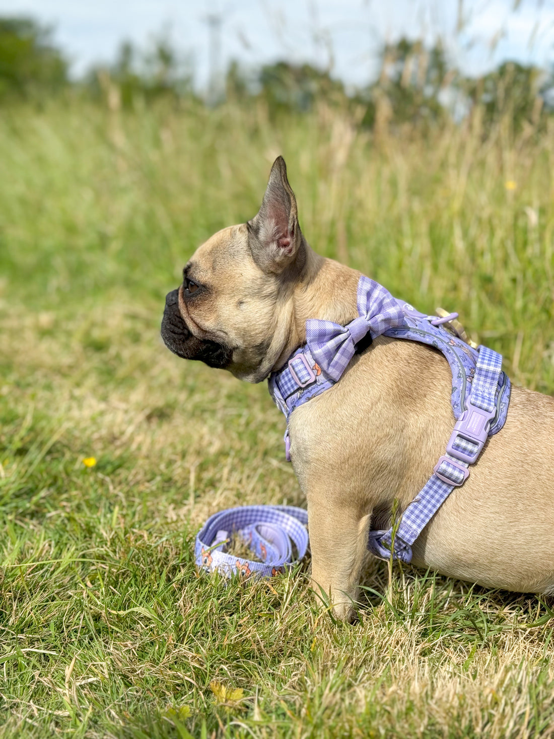 Disney© Bow Tie - Bambi + Friends Lilac Gingham
