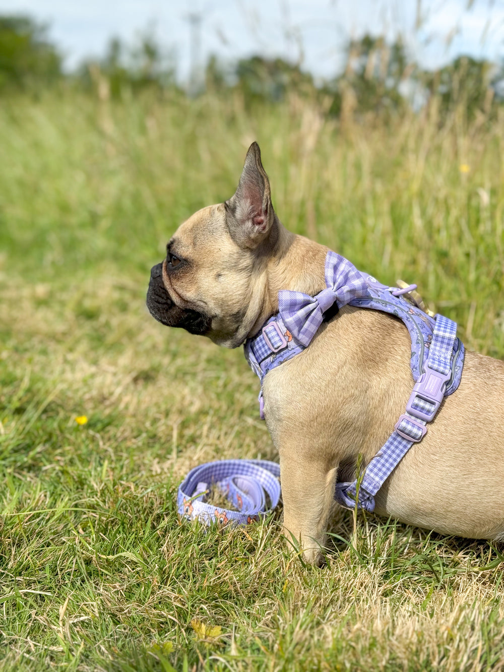 Disney© Bow Tie - Bambi + Friends Lilac Gingham