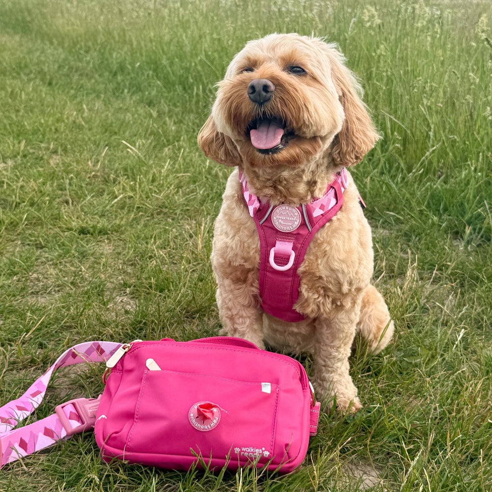 All In One Bumbag - Raspberry Pink