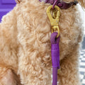 4ft Rope Lead - Walkies Ready® Plum