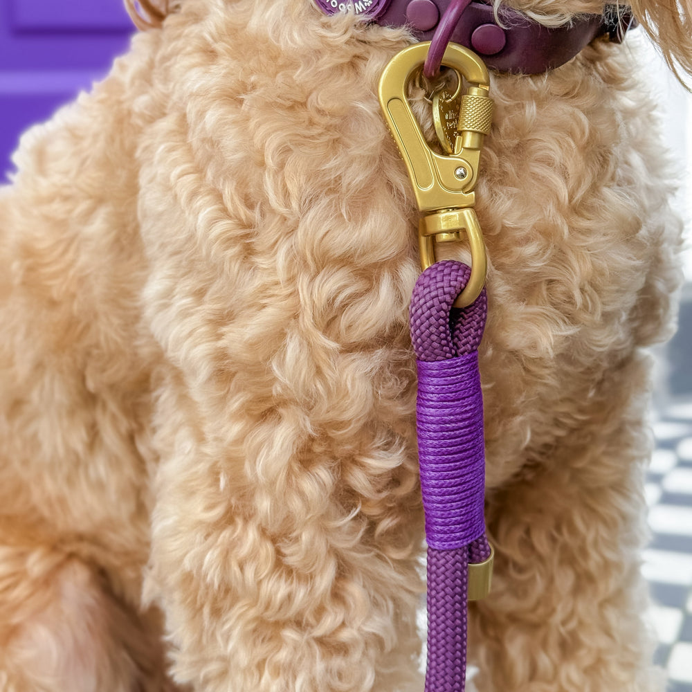 4ft Rope Lead - Walkies Ready® Plum