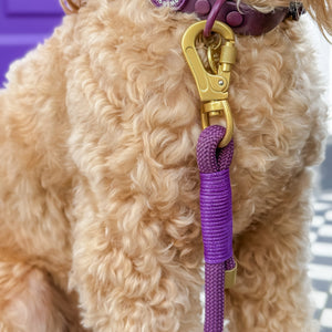 4ft Rope Lead - Walkies Ready® Plum