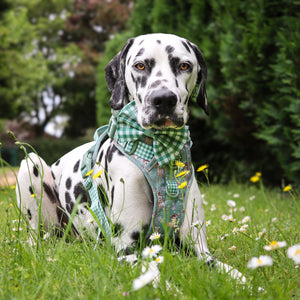 Disney© Bow Tie - Bambi + Thumper - Green Gingham