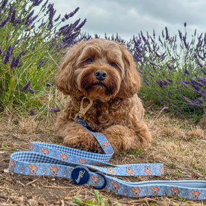 Disney© Lead - Bambi + Friends Blue