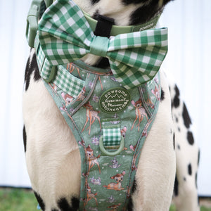 Disney© Bow Tie - Bambi + Thumper - Green Gingham