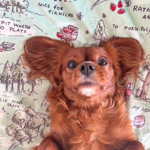 Disney© Dog Blanket - 100 Aker Wood