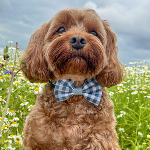 Disney© Bow Tie - Bambi + Friends Blue Gingham