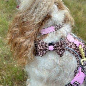 Bow Tie - Leopard Print