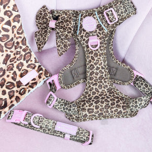 Collar - Leopard Print