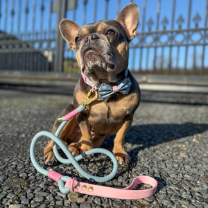 Disney© 4ft Rope Lead - Mad Hatters Tea Party