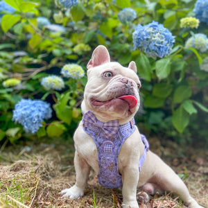 Disney© Bow Tie - Bambi + Friends Lilac Gingham