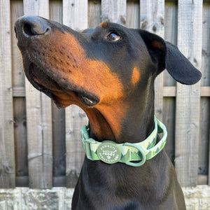 Adventure Collar - Forest Green (Size Large Only)