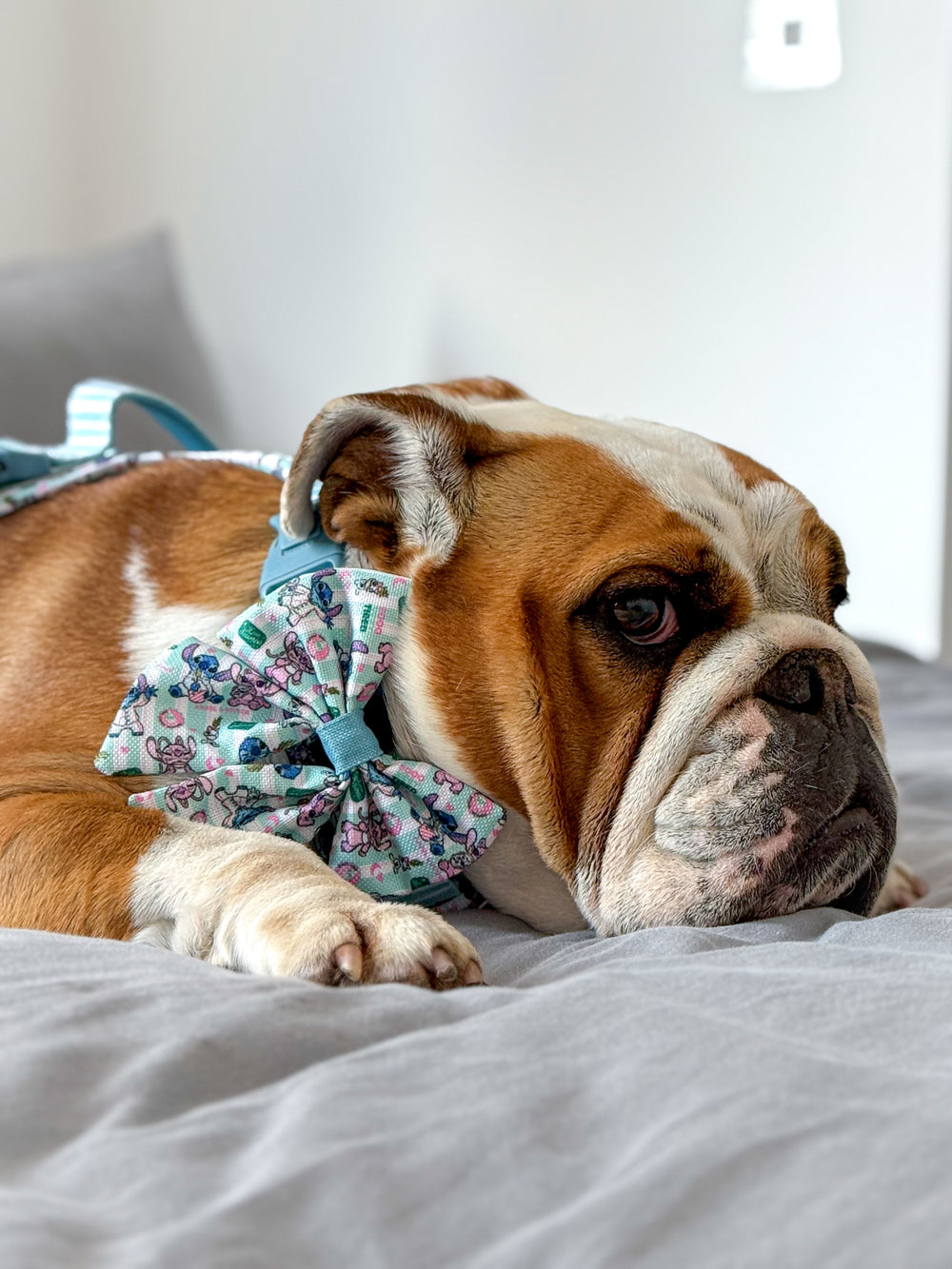 Disney© Sailor Bow Tie - Stitch's Slumber Party