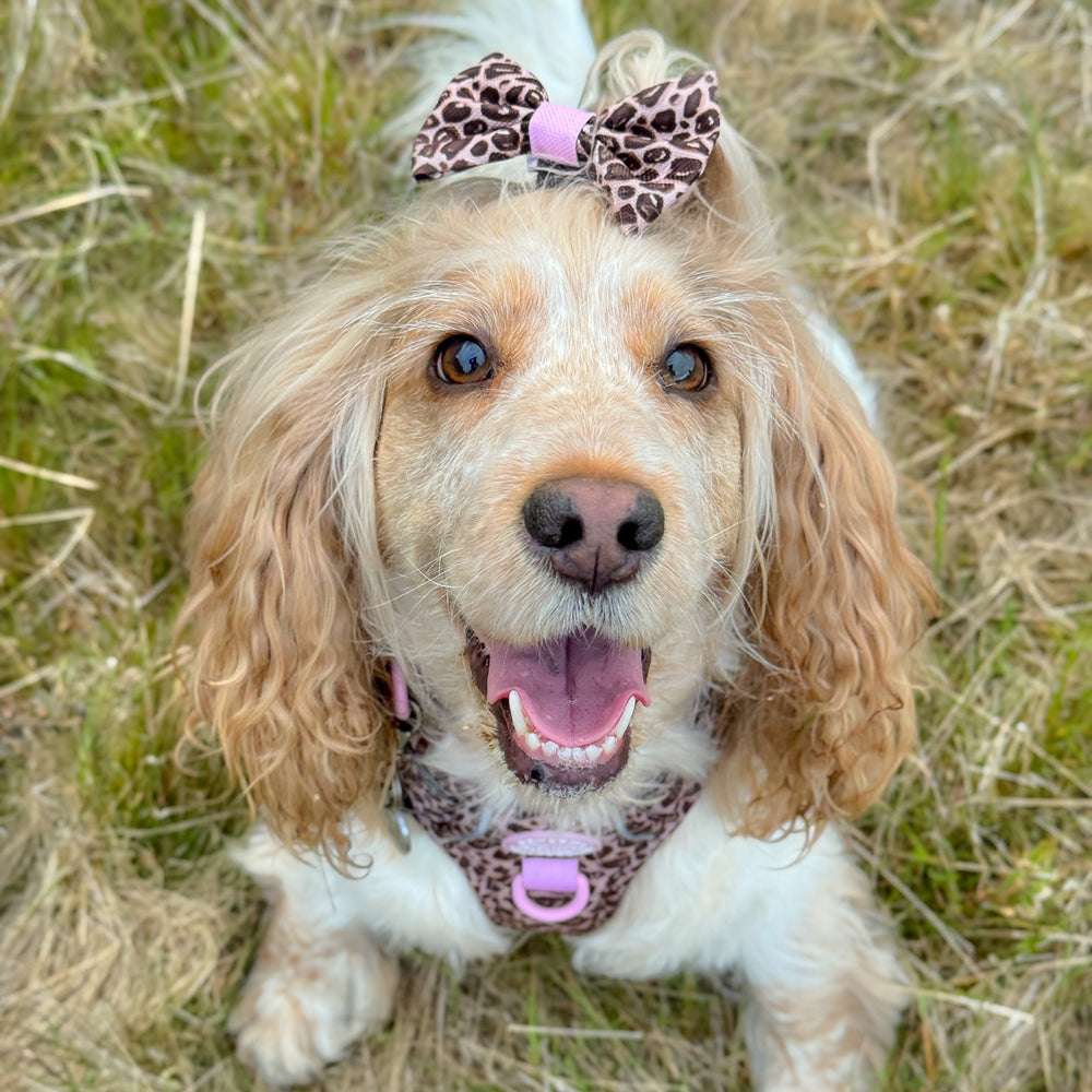 Bow Tie - Leopard Print
