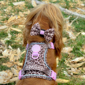 Bow Tie - Leopard Print