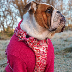 Disney© Bow Tie - Jessie