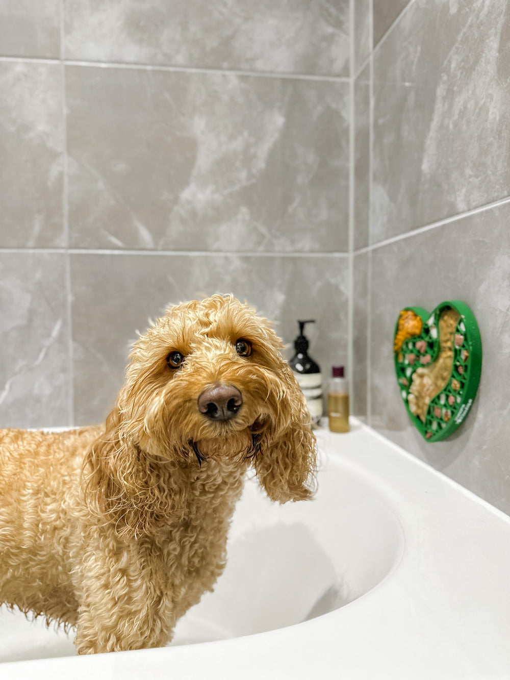 Lick Mat - Forest Green