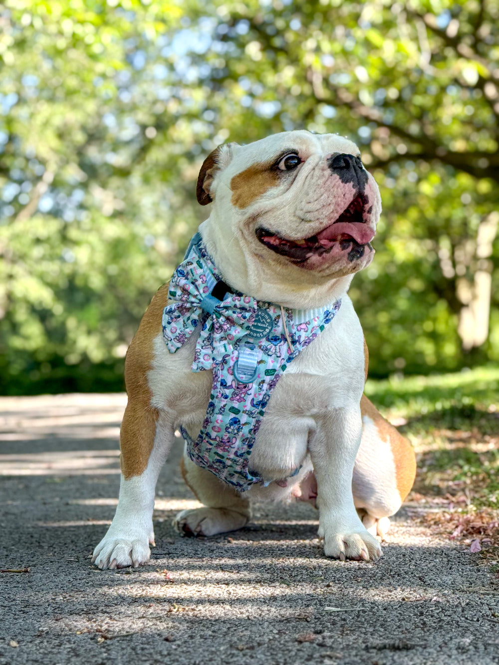 Disney© Sailor Bow Tie - Stitch's Slumber Party