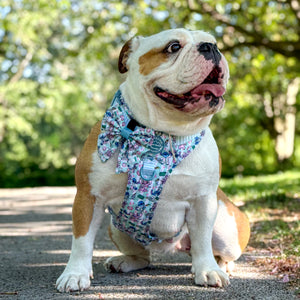 Disney© Sailor Bow Tie - Stitch's Slumber Party