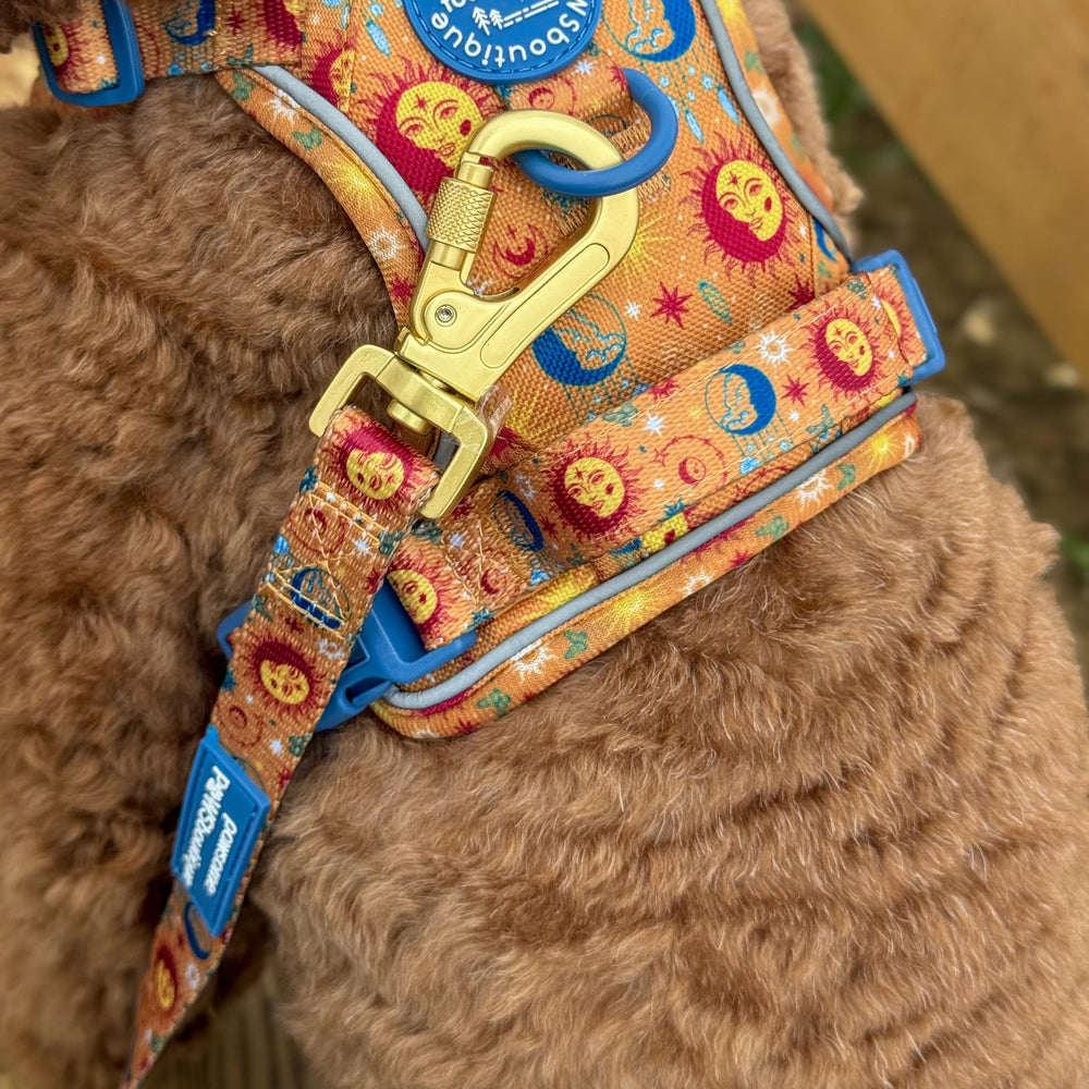 Lead - Celestial Spirit